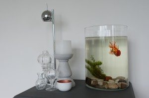 Huisje-boompje-beestje-AfkeManshanden-9